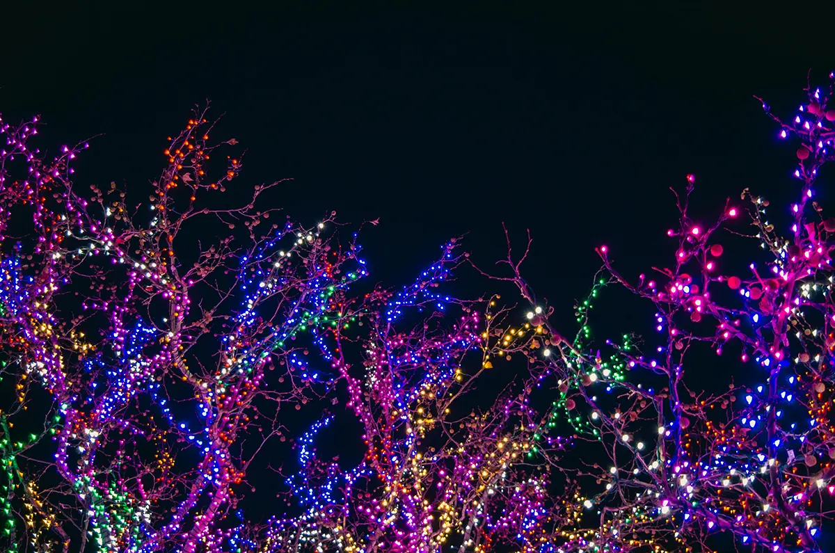Christmas in Blacksburg, Virginia