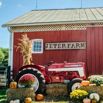 Jeter Farm Pumpkin Patch
