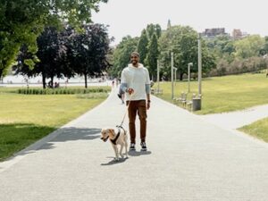 Dog Parks in Blacksburg