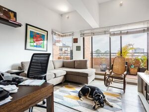 Pet-friendly apartments in Blacksburg